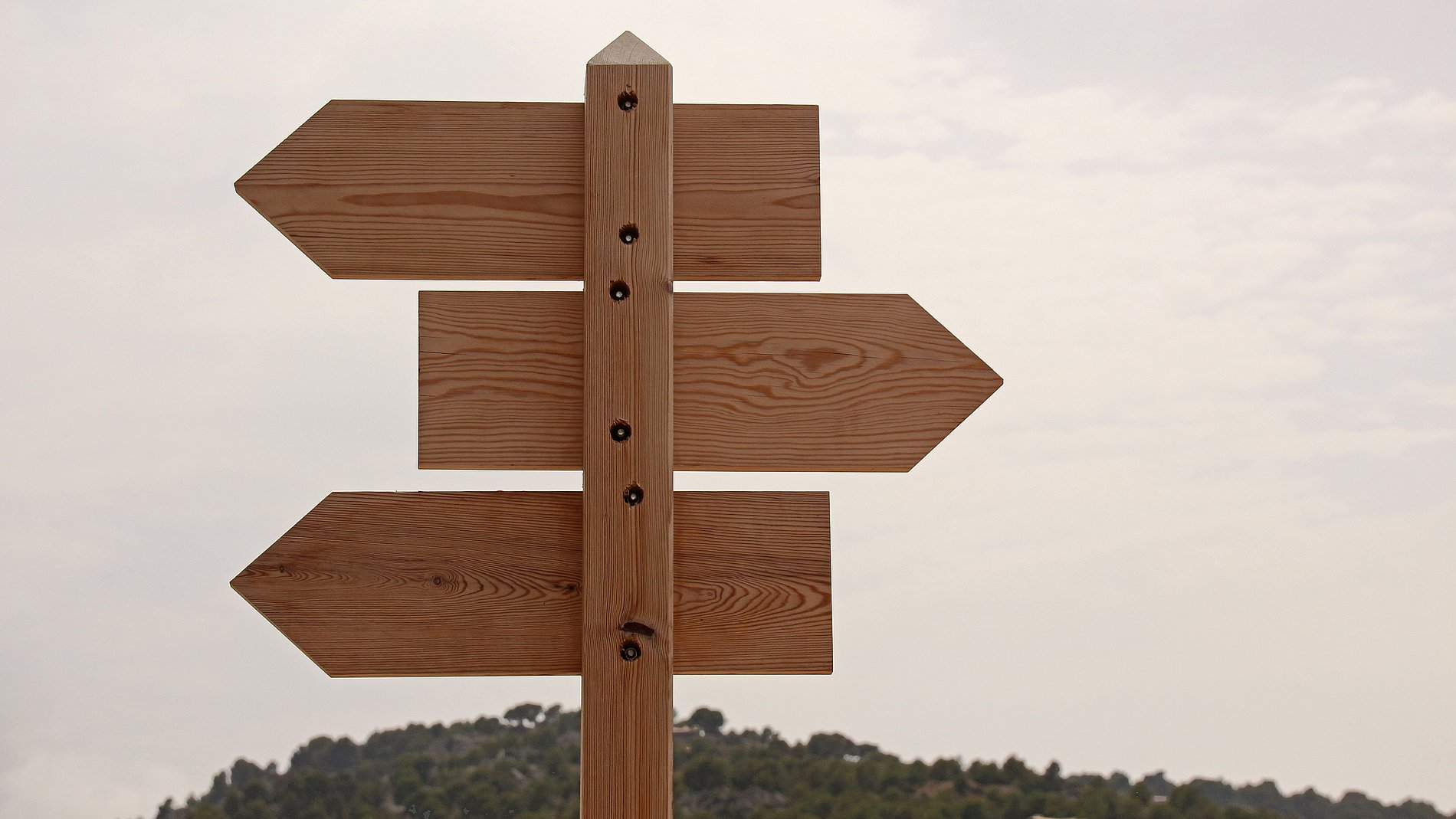 Das Bild zeigt einen Wegweiser mit drei Pfeilen, von hinten. Zeit Pfeile zeigen nach links einer nach rechts. Der Wegweiser ist aus Holz. 