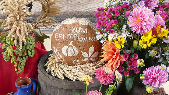 Das Bild zeigt eine Vielzahl von Obst, Gemüse, Ähren und Blumen. Vorne auf der rechten Seiten ist ein umgelegt Korb zu sehen, in dem verschiedene Kürbis, Kohle, eine Wassermelone und Rote Beete drapiert sind. Daneben liegen ein Salat, ein Rübe und eine Lauchstange. Vorne auf der linken Seite liegen brauner und gelber Mais. Darüber zu finden ist ein Korb mit gefüllt mit kleinerem Obst (Pflaumen, Birnen, Äpfel und Mirabellen), Gemüse (Zucchini, Tomaten, Paprika) und einem blauen Wasserkrug. Mittig im Bild steht ein altes Fass, darauf drapiert sind Weizenähren in dessen Mitte ein Brot aufgestellt ist. Das Brot ist bemehlt und hat eine Aufschrift "Zum Erntedank" sowie einer Ähre, einem Kürbis und einer Kastanie mit Blatt. Hinter dem Brot ist eine Altarraum mit einer Altarschellen zu erkennen. Rechts oben im Bild befindet sind ein farbenfroher Blumenstrauß mit verschieden Blumen z.B. Dahlien. Auf der oberen linken Seite stehen auf einer Erhebung, die mit einem roten Tuch verdeckt ist, Weizen- und Roggenähren ebenso wie blau und grüne Trauben. 