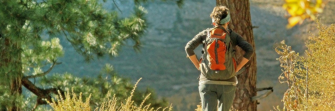 Eine Person mit Rucksack steht im Wald auf einen Weg. Die Person steht mit dem Rücken zur Fotograf*in. 
